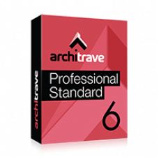 Architrave 2019 Professional Standard para 6 meses